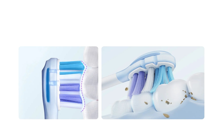 What’s Hiding in Your Toothbrush? How Often Should You Replace Brush Heads?