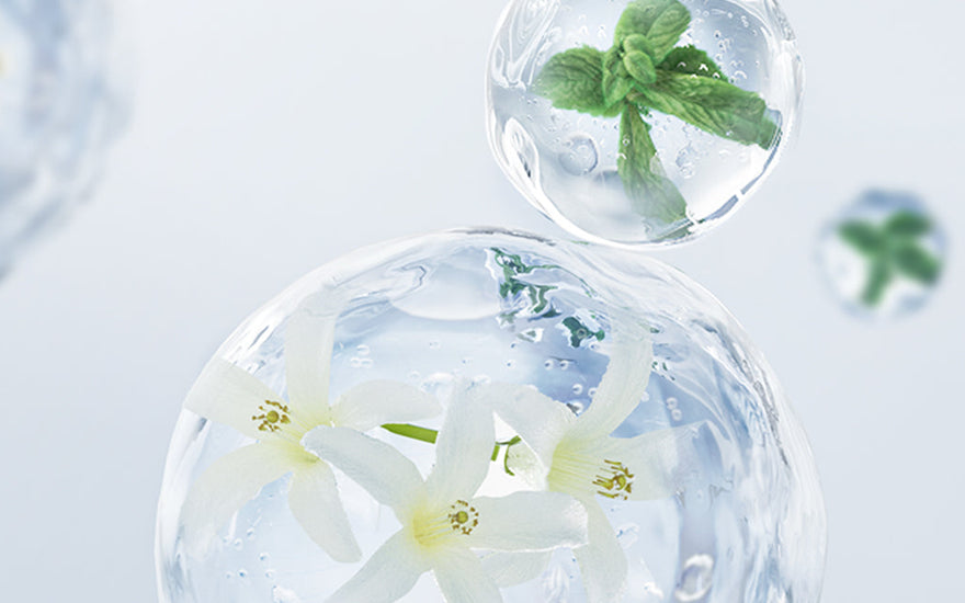 A Guide on Decision to Brush Your Teeth Before or After Using Mouthwash?