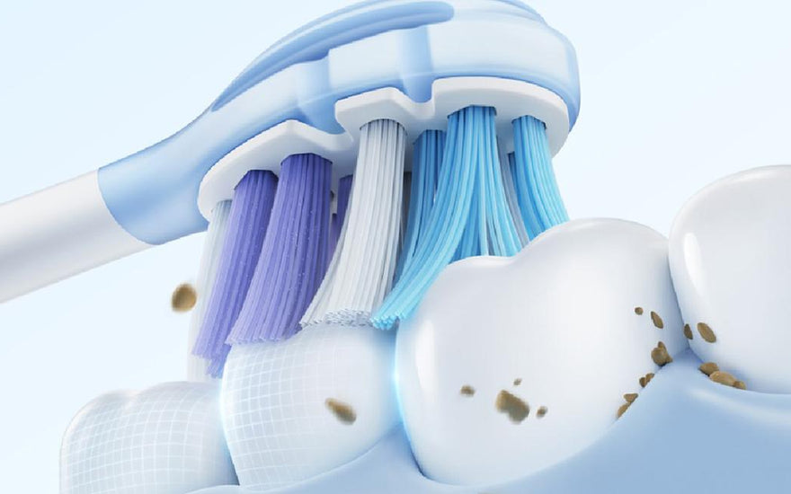 How to Clean an Electric Toothbrush Head — Why Most People Skip Half the Steps