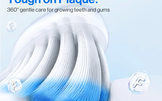 6 Year Molars Brushing: How to Care for Your Child's New Back Teeth