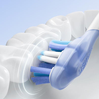 Electric Toothbrush Round Head vs Oblong: Which Shape Actually Works Better?