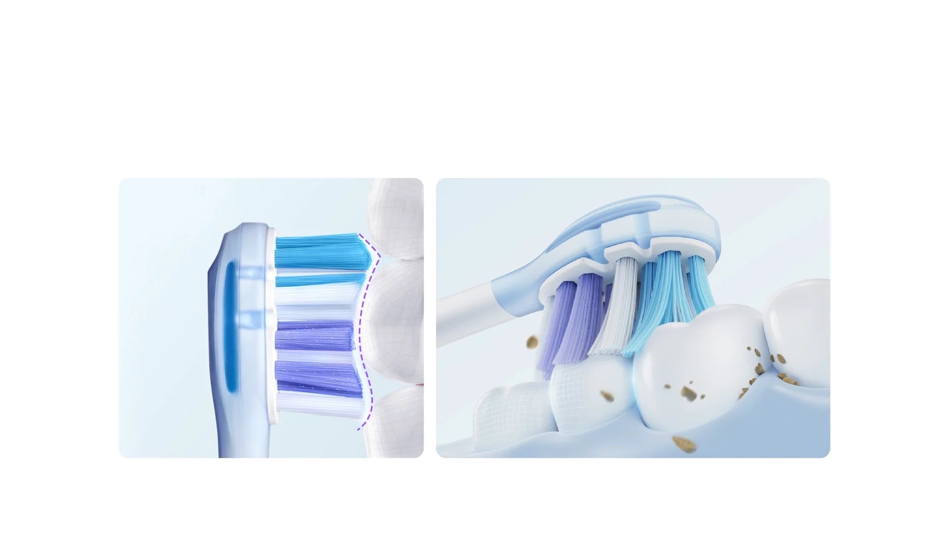 What’s Hiding in Your Toothbrush? How Often Should You Replace Brush Heads?